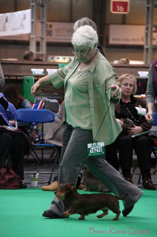 Crufts2011_2 1527.jpg